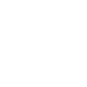 linkedin icon